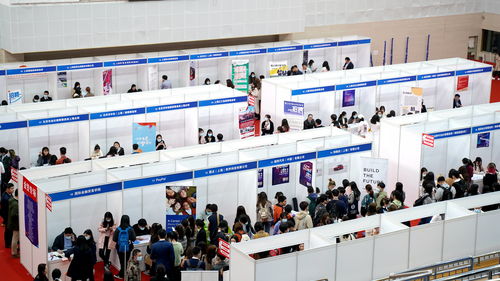 搭建橋梁，助力夢想 上外國際金融貿(mào)易學院2021年就業(yè)實習專場雙選會成功舉辦