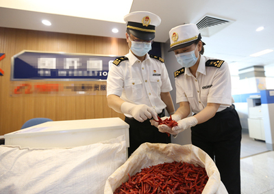 中非經(jīng)貿(mào)博覽會(huì) 合作成果豐碩，攜手共譜發(fā)展新篇